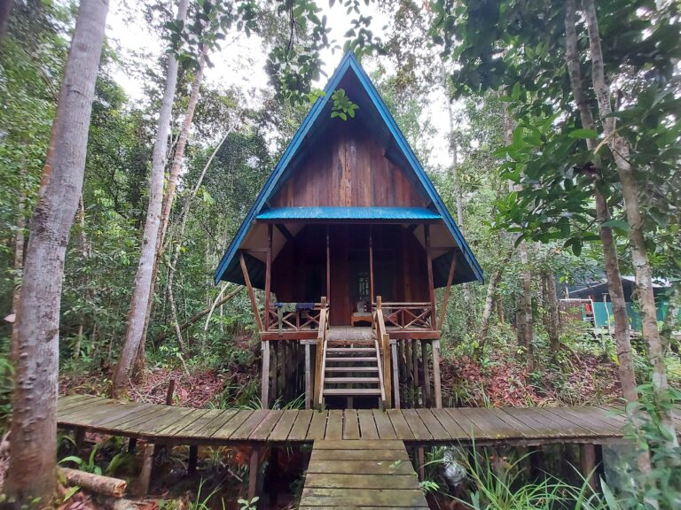 Unveiling the Enchanting Beauty of Keruing Ecotourism Village and Sebangau Punggu Alas National Park: Hidden Gems in Central Kalimantan